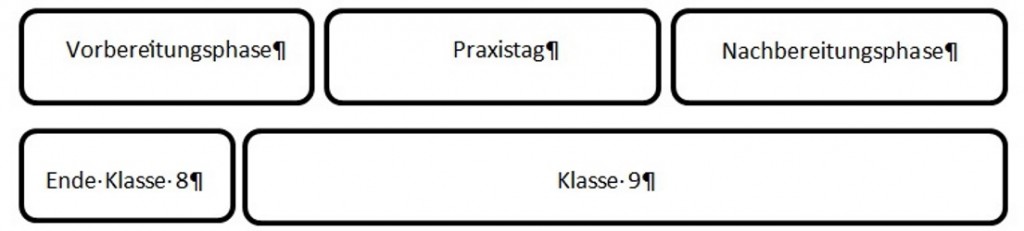 Praxistag