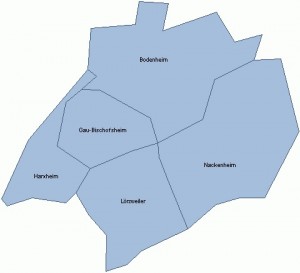 VG Bodenheim